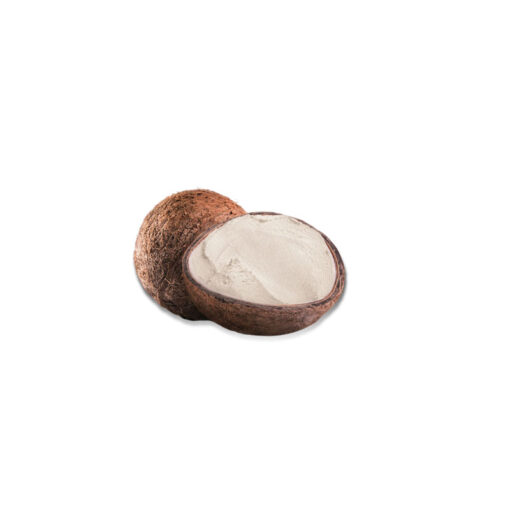 Sorvete Cremoso de coco Tropicatto